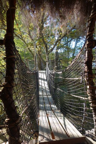 Hébergement AbracadaRoom : Cabane La Pitalaya - Image 6