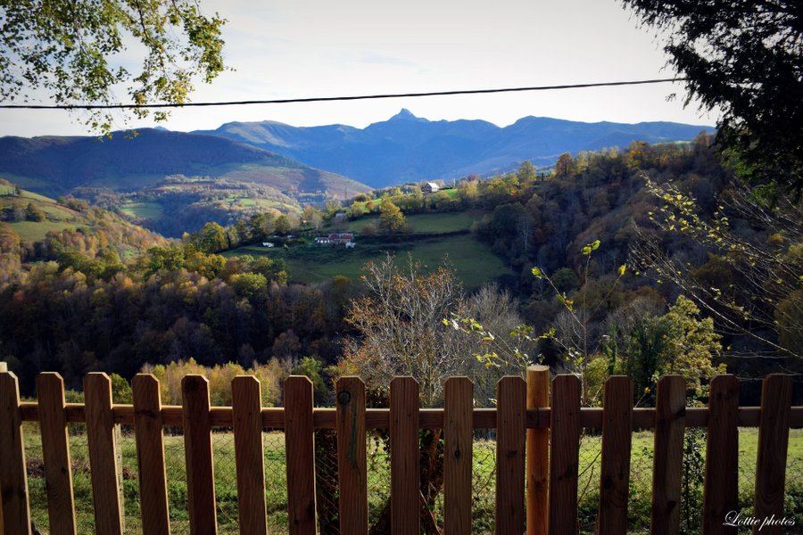 Domaine AbracadaRoom : La Roulotte qui chuchote - Image 2