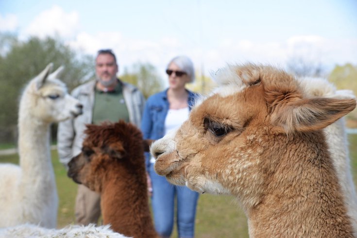 Hébergement AbracadaRoom : Lodge sur pilotis Duo Spa et sauna privatif Vaudésir - Image 19
