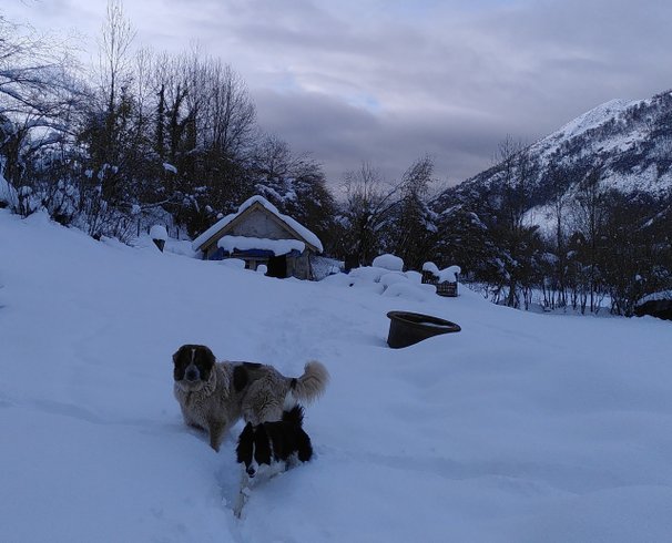 Domaine AbracadaRoom : Cabanots Ecolodge - Image 14