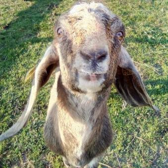 Domaine AbracadaRoom : Parenthèse Nuit - Image 3