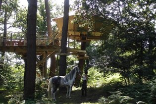 Cabane dans les arbres Morbihan