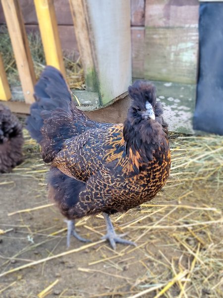 Domaine AbracadaRoom : Le Mond'Idéal - Image 8