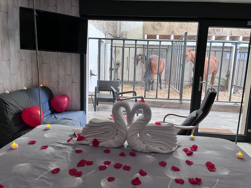 Hébergement AbracadaRoom : Suite 3 - 3 pers. terrasse avec des chevaux pour voisin de chambre - Image 5