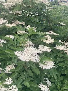 Domaine AbracadaRoom : Roulotte du Jura Vert - Image 8