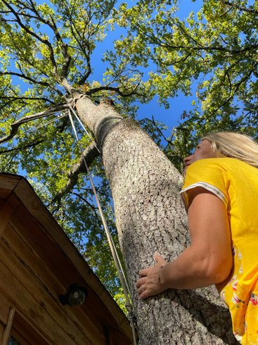 Domaine AbracadaRoom : Nid'en'Ô Les Cabanes dans les Arbres - Image 23