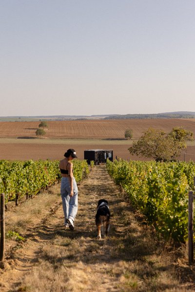 Hébergement AbracadaRoom : Parcel Tiny House - dans les vignes de Bourgogne proche Sancerre - Image 8