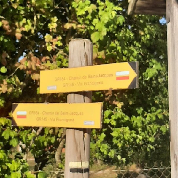 Domaine AbracadaRoom : A l'aube des sens - Image 9