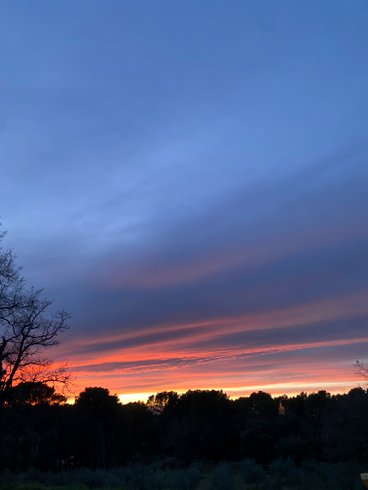 Hébergement AbracadaRoom : La Forêt Enchantée - Refuge au coeur du Vaucluse - Image 43