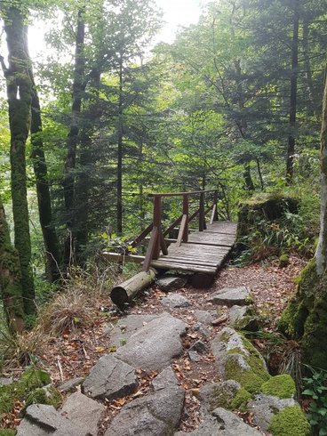 Domaine AbracadaRoom : NatureZenKota - Image 4