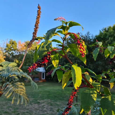 Domaine AbracadaRoom : Les Nuits du Verger - Image 6