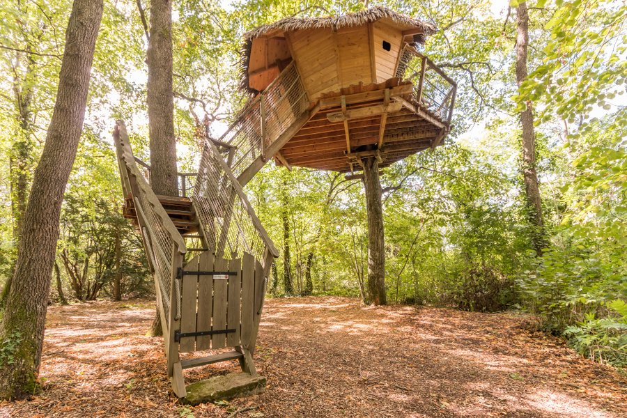 Hébergement AbracadaRoom : Nid dans les étoiles - Image 1