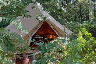 Tente et tente lodge Deux-Sèvres