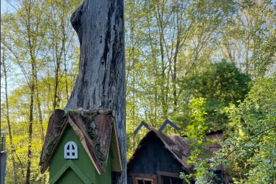 Cabane de contes de fée & Spa — photo 2