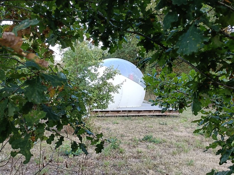 Domaine AbracadaRoom : Pré en bulles - Image 9