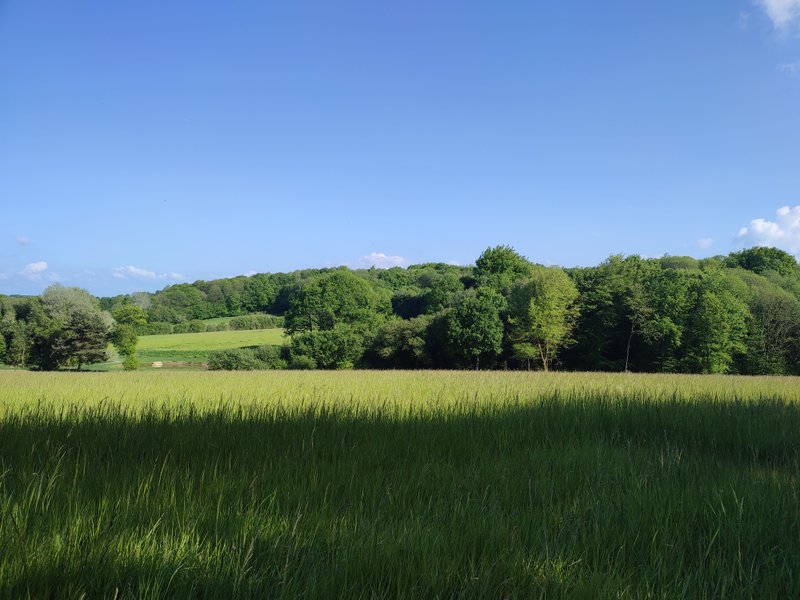 Domaine AbracadaRoom : Le Domaine des Roches' L - Image 2