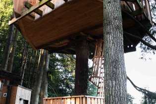 Cabane dans les arbres Rhône