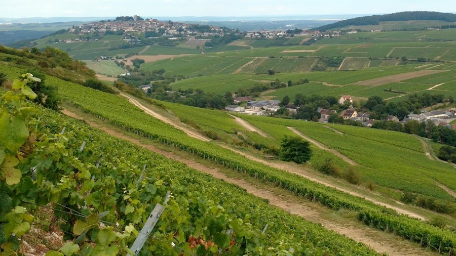 Domaine AbracadaRoom : Le Corbier, la Bulle des Alpagas - Image 8