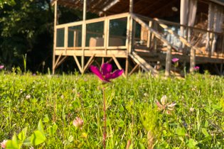 Cabane sur pilotis Indre-et-Loire