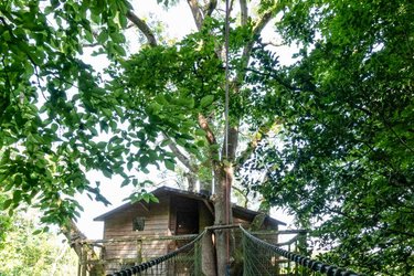 Cabane Rossignol à Saint Pierre Azif (2)