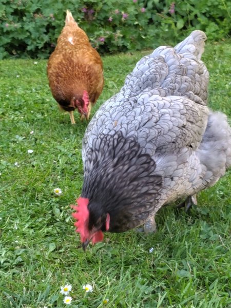 Hébergement AbracadaRoom : O'Logis de Grisette & SPA - Image 29