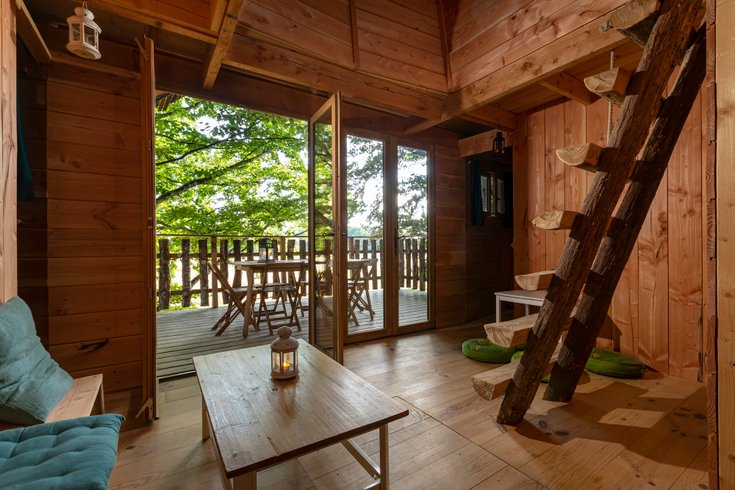 Hébergement AbracadaRoom : Suricate - Image 4