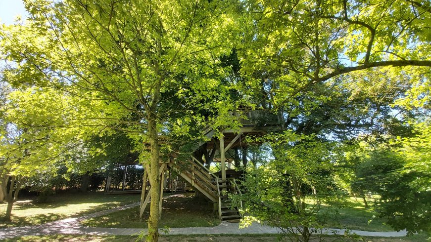 Hébergement AbracadaRoom : La Cabane dans les Arbres - Image 2
