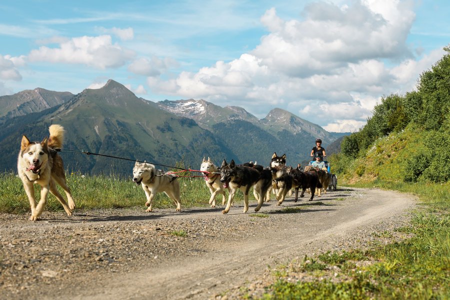 Domaine AbracadaRoom : Gîtes la Patte Nordic - Image 10