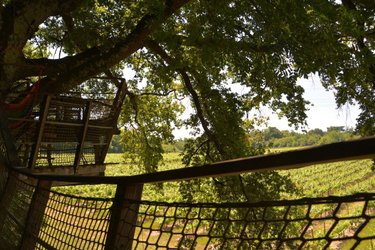 Cabane Pomerol à Pompignac (4)