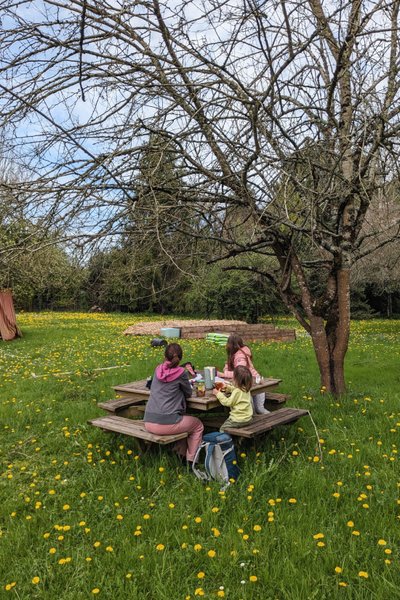 Domaine AbracadaRoom : Graines de nature - Image 15