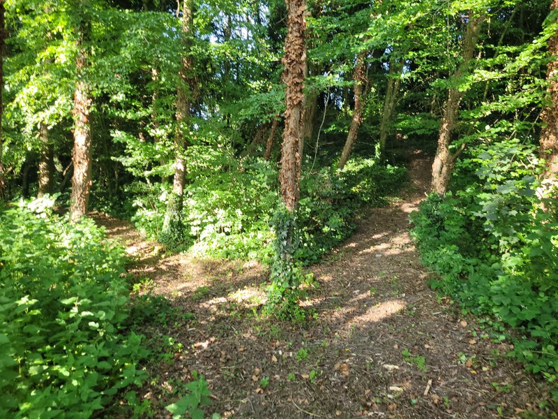 Hébergement AbracadaRoom : Yourte mongole - Image 10