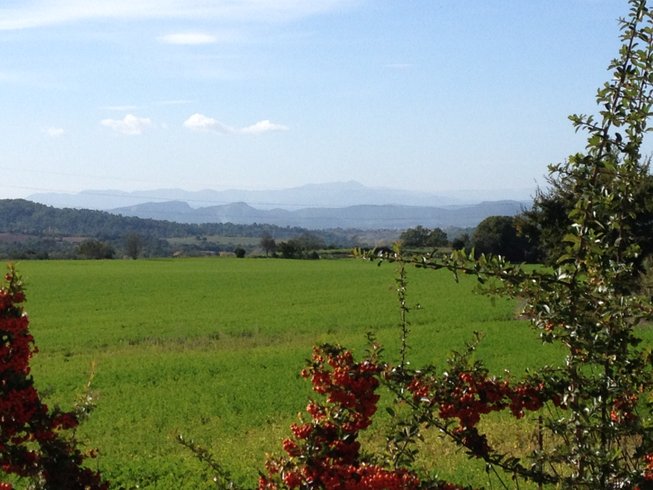 Domaine AbracadaRoom : Une Roulotte à la Campagne - Image 4