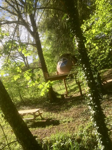 Hébergement AbracadaRoom : Petite Ourse - Image 5