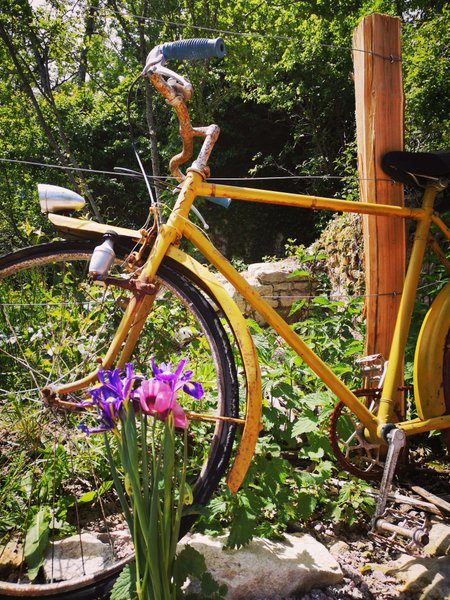 Domaine AbracadaRoom : Roulotte et Forêt : Evasion bohème en Bourgogne - Image 15