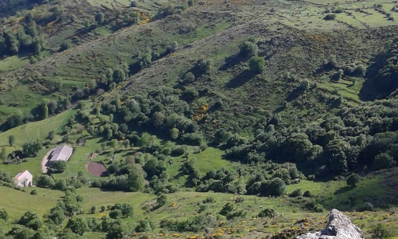 La Clairière de Peylenc - Refuge en Velay à Saint-Pierre-Eynac (4)