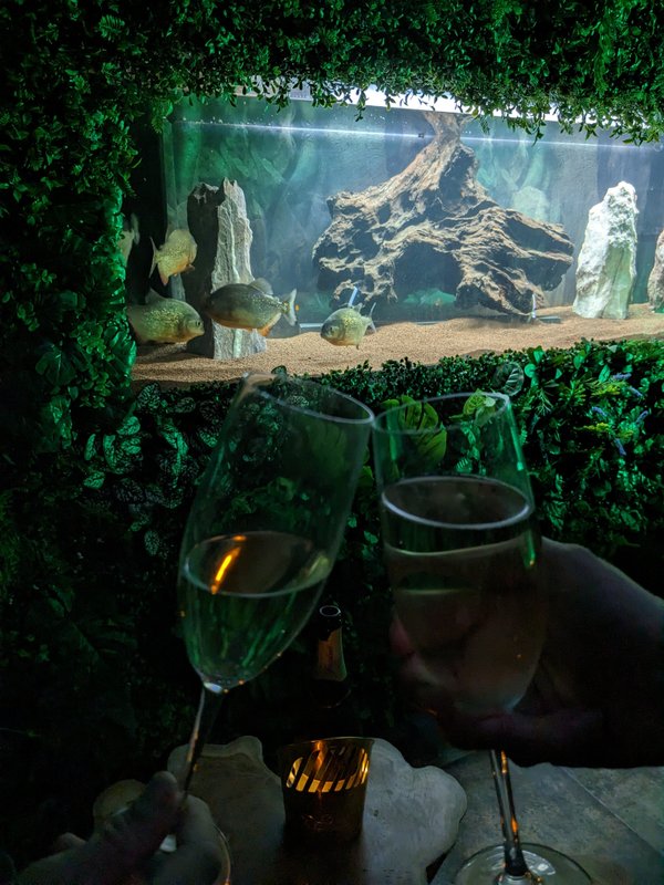 Nuit insolite avec Spa, sauna et jardin privatifs immersion en AMAZONIE à Le Passage D'agen (13)