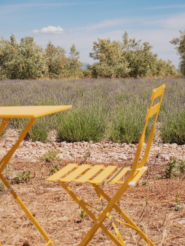 Les Lavandes à Valensole (14)