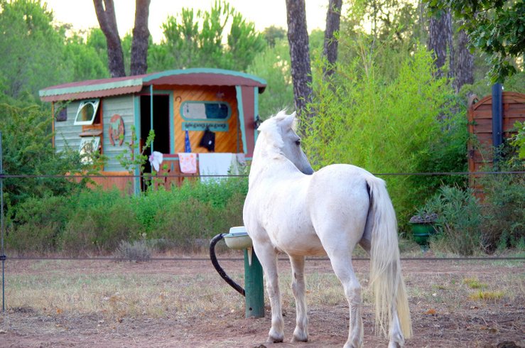 Domaine AbracadaRoom : Les Ecuries du Soleil - Image 2