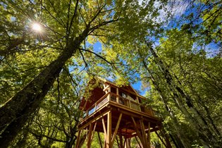 Cabane perchée & spa + sauna
