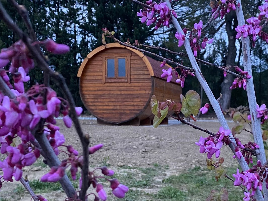 Échappée vigneronne à Pennautier (6)