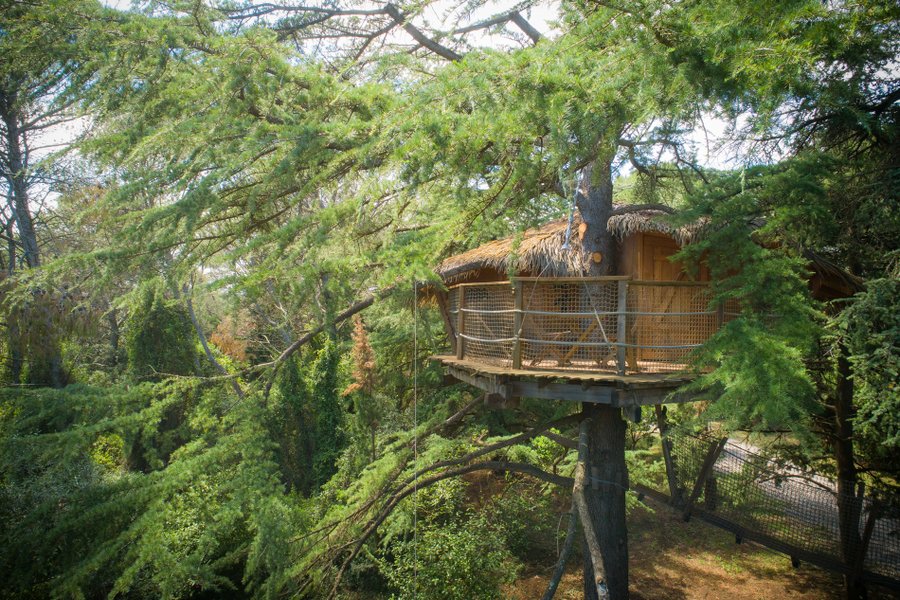 Hébergement AbracadaRoom : Crécerelle - Image 2