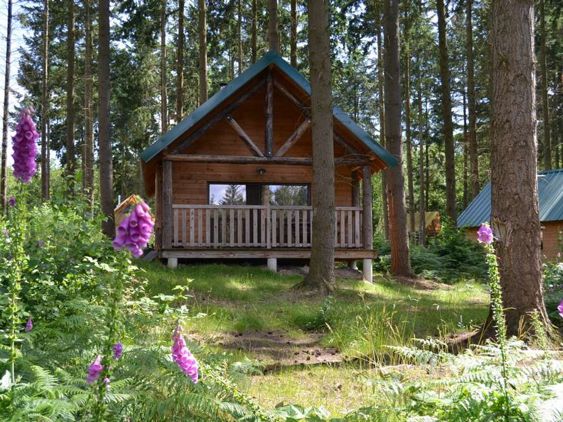 Cabane Versailles