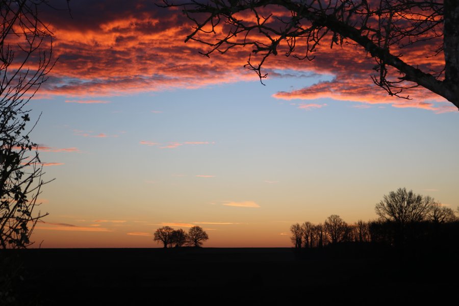 Domaine AbracadaRoom : Le Nid du Tui - Image 8