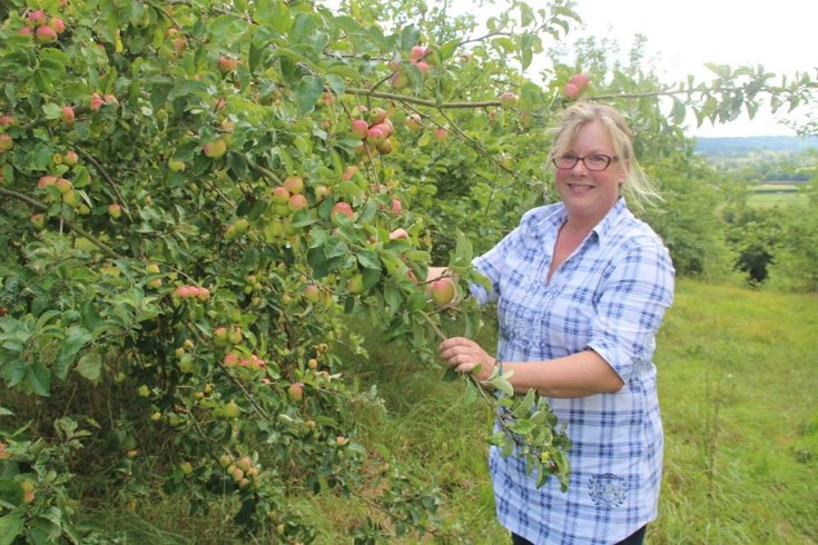 Domaine AbracadaRoom : Domaine des Essarts - Image 5