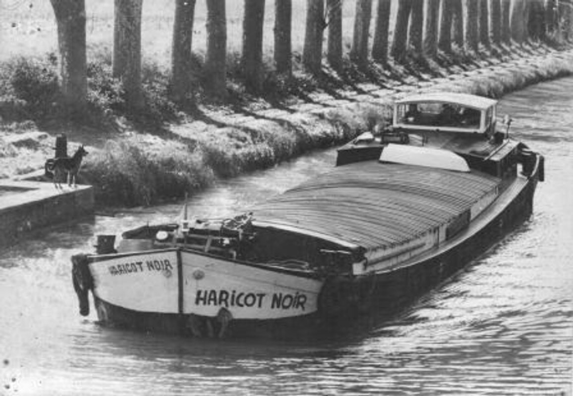 Péniche Le Haricot Noir à Colombiers (22)