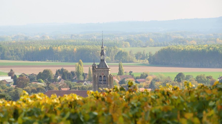 Domaine AbracadaRoom : La Réserve de l'Aube - Image 19