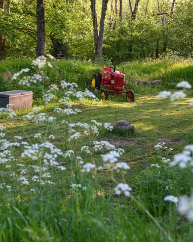 Domaine AbracadaRoom : Les Bulles d'herbe - Image 17
