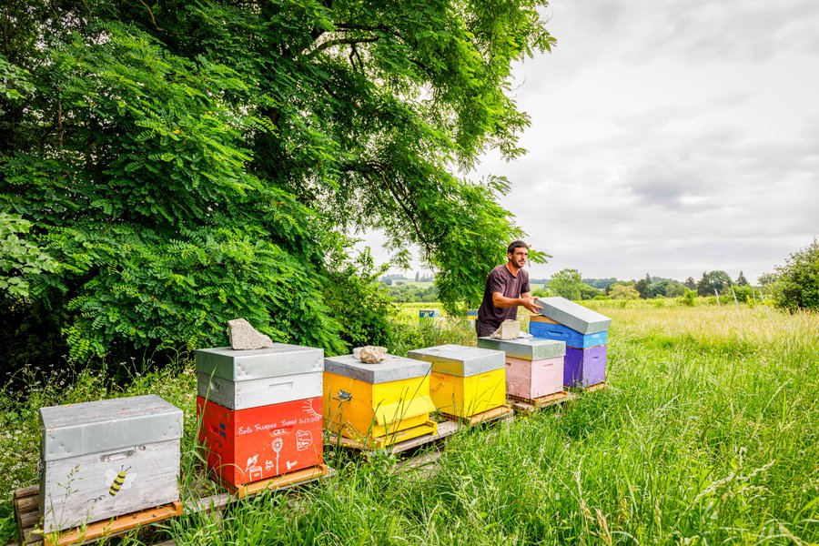 Hébergement AbracadaRoom : Tiny House La Vendange proche de Saint Emilion - Image 21