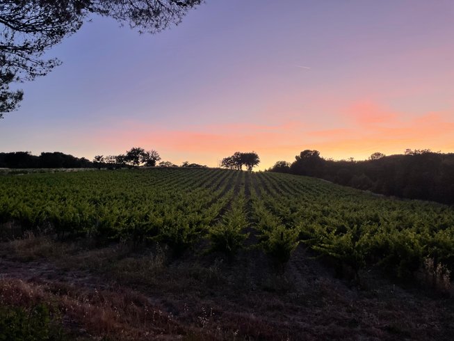 Domaine AbracadaRoom : Le nid en Provence - Image 7