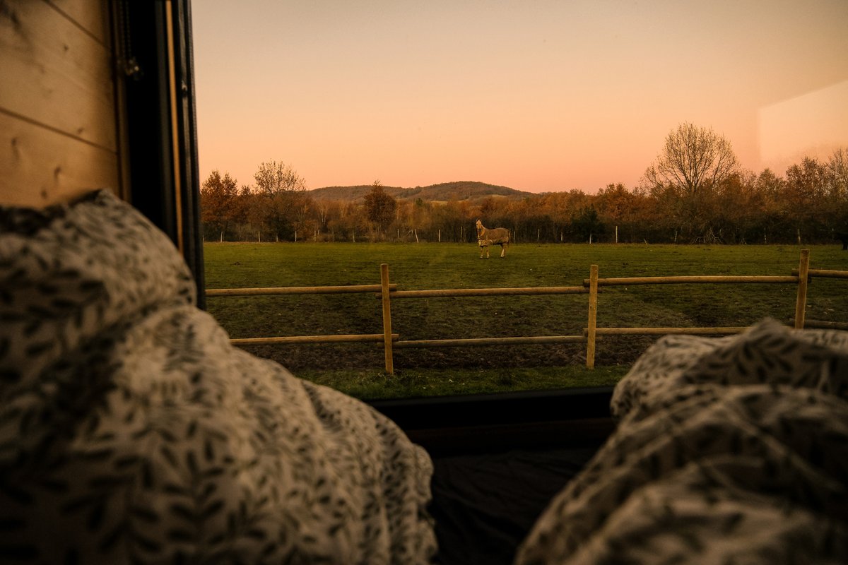 Homnest - Prairie des Âmes Heureuses - Occitanie à Puybegon (17)